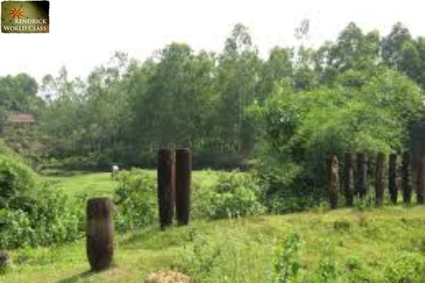 Khu Du Lịch Sinh Thái Văn Hóa Vực Quành