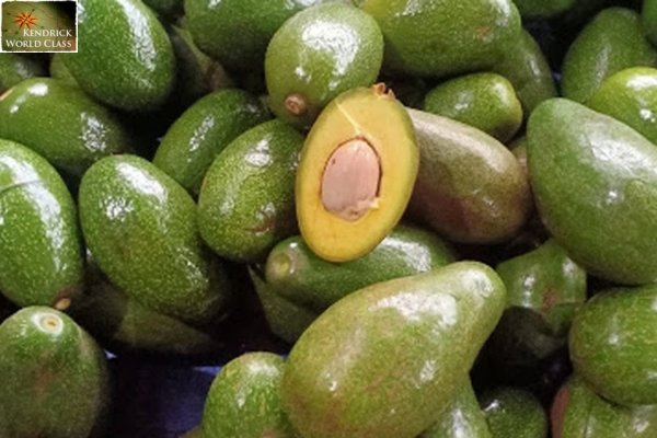 Bơ Sáp