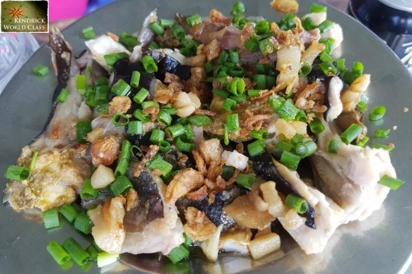 Cá Lồi Xối Mỡ