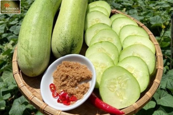 Dưa Mèo