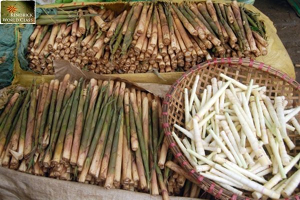 Măng Sặt