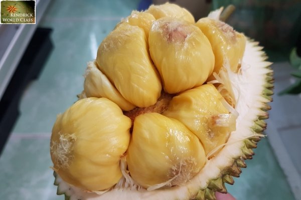 Mít Tố Nữ Long Khánh