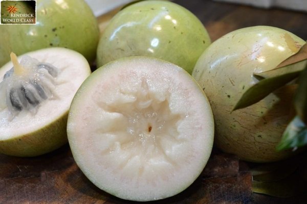 Vú Sữa Lò Rèn